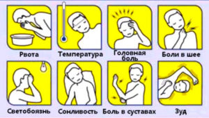 симптомы укуса клеща