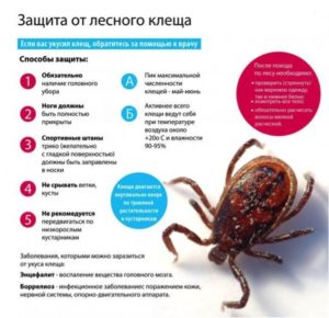Защита